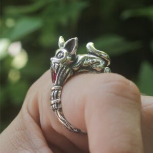 Jiji Koda Verve Serviço de entregas da Kiki KIKI Anel