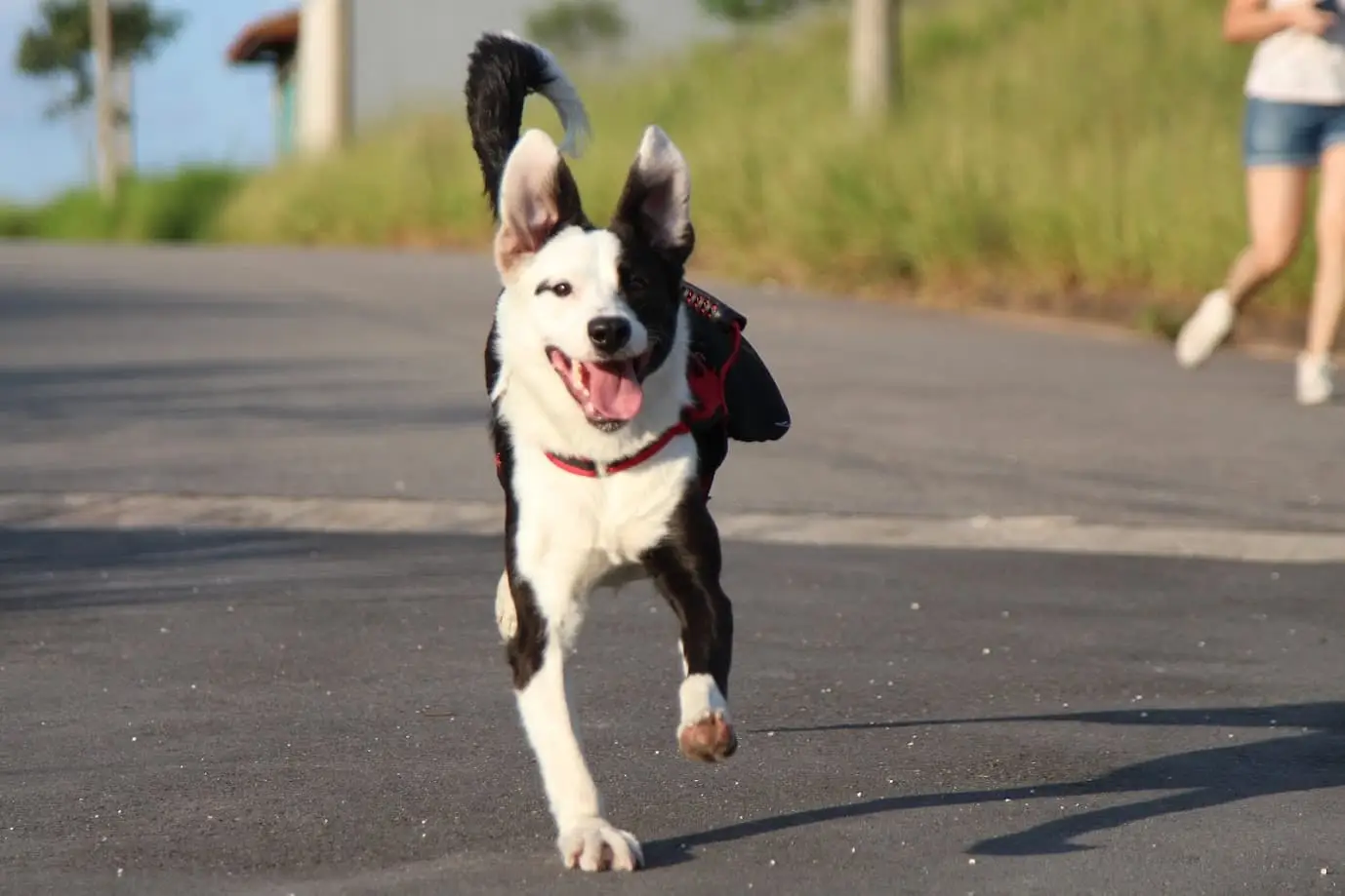 Depoimento Google Tílapia
Depoimento Google 
